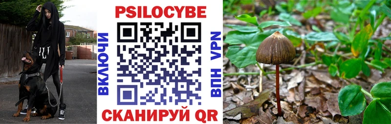 Псилоцибиновые грибы Magic Shrooms  где можно купить наркотик  Приволжский 